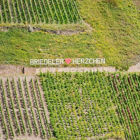 Wein- Und Sektgut Markus Hensler بريديل المظهر الخارجي الصورة